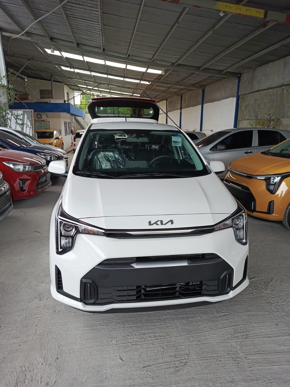 Kia Picanto
